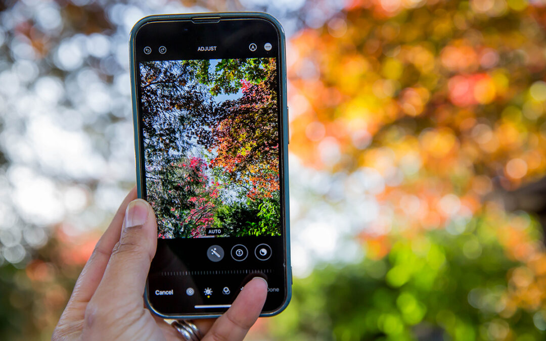 How to take better photos on your mobile phone